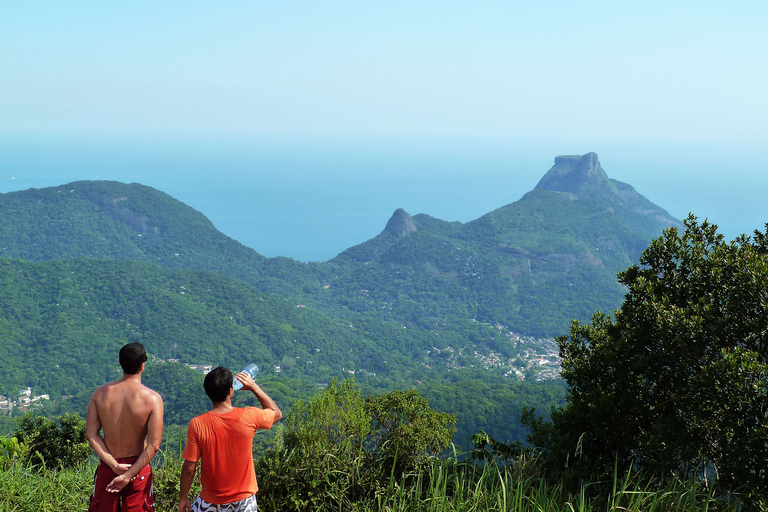 Rio de Janeiro: Pico da Tijuca Wandeltocht