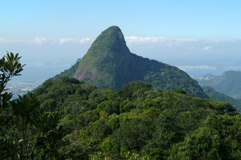 Rio de Janeiro: Pico da Tijuca Wandeltocht