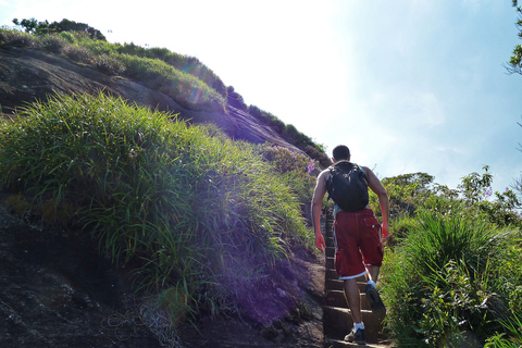 Rio de Janeiro: Pico da Tijuca Hiking Tour