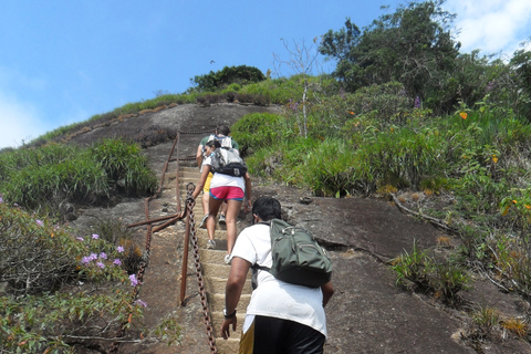 Rio de Janeiro: Pico da Tijuca Hiking Tour