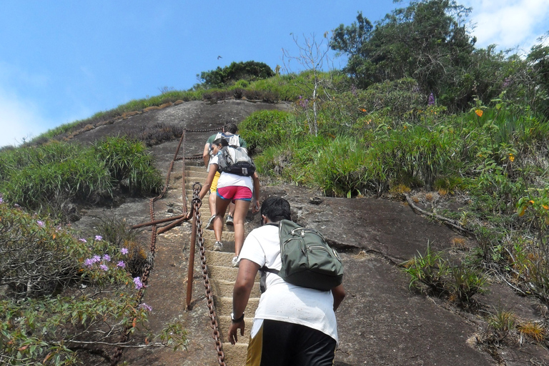 Rio de Janeiro: Wycieczka piesza na Pico da Tijuca