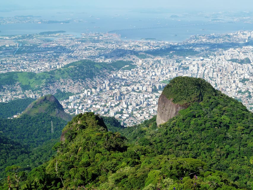 Rio de Janeiro: Pico da Tijuca Hiking Tour | GetYourGuide