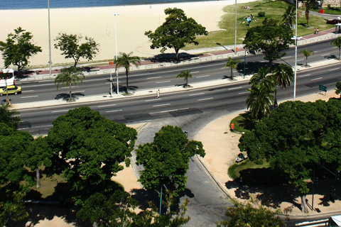 Rio de Janeiro 4, 6 or 8-Hour Private Customizable Tour Rio de Janeiro: 6-Hour Private Customizable City Tour