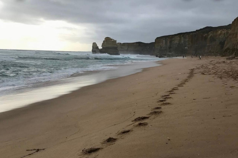 Private Tour: Great Ocean Road - Twelve Apostles Great Ocean Road - Twelve Apostles