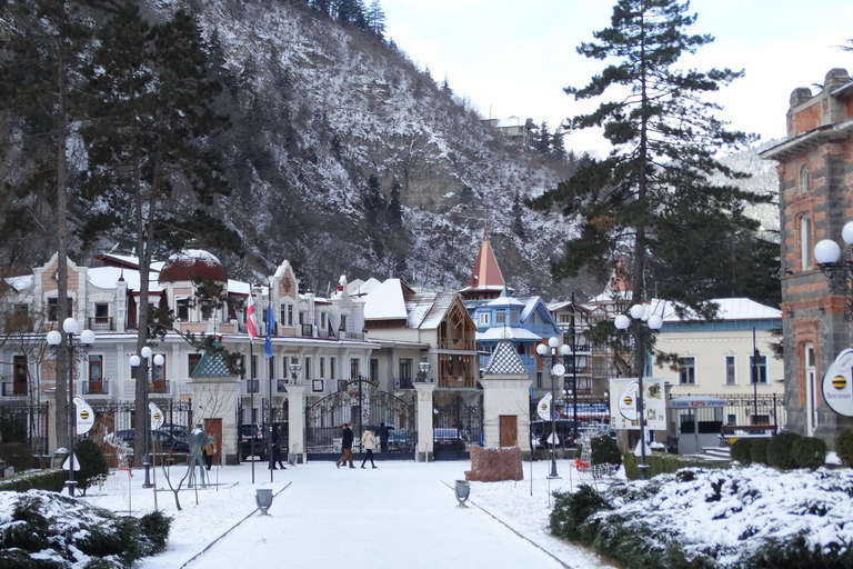 Z Tbilisi: Jednodniowa wycieczka do Vardzia, Rabati i Borjomi