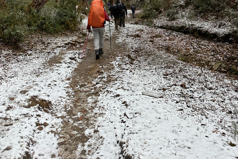 From Pokhara: 4-Day Ghorepani Poon Hill Trek with Guide