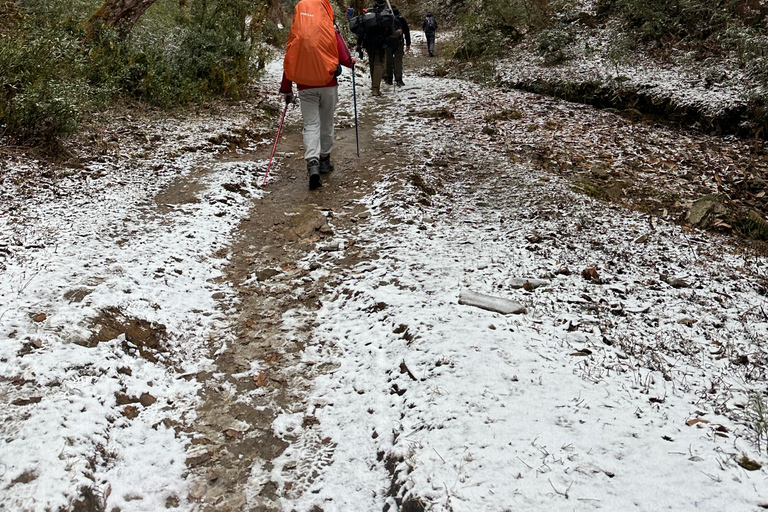 From Pokhara: 4-Day Ghorepani Poon Hill Trek with Guide