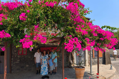 Santorini: Semi-Private Tour with Local Guide 5-hour Semi-Private Tour