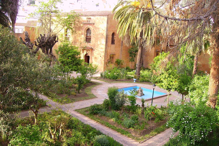 Vanuit Tanger: Chefchaouen hele dagtrip met gidsVanuit Tanger: Chefchaouen Hele dagtrip