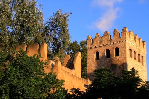 From Tangier: Chefchaouen Guided Full-Day Trip From Tangier: Chefchaouen Full-Day Trip