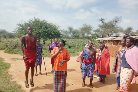 马赛村落：马赛传统文化体验马赛村：马赛传统文化体验