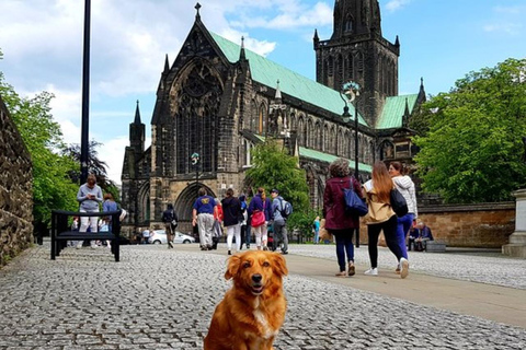 Glasgow: Tour a piedi di Gander