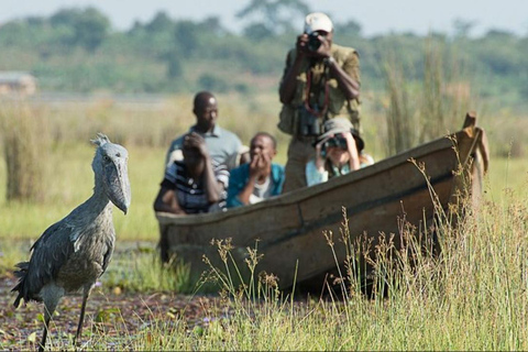 5-Day Lake Victoria Islands & Buganda Heritage Tour
