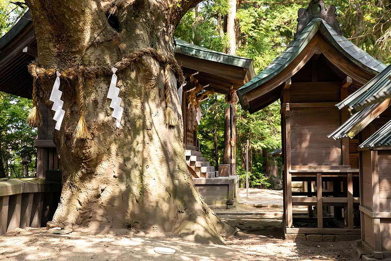 Kamikochi Day Tour from Nagoya: Discover the Pristine Valley