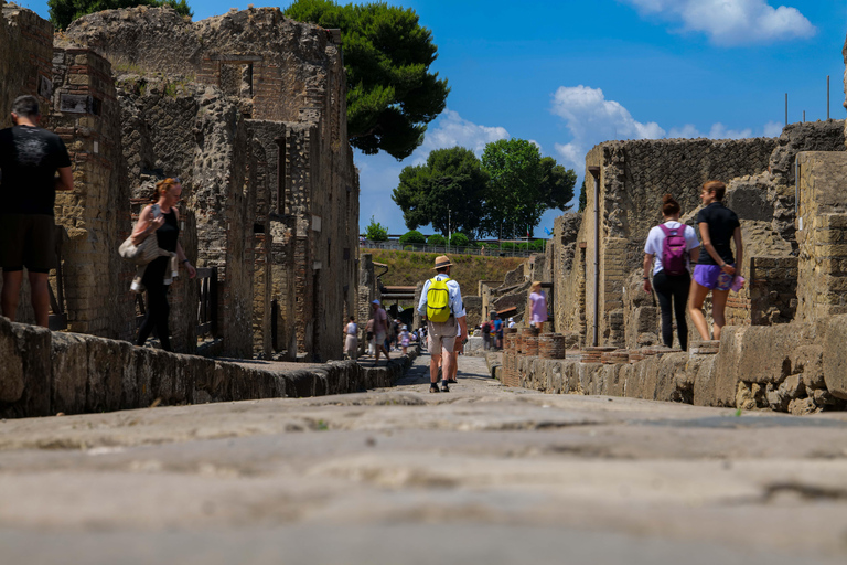 Herculaneum Guided Tour with Fast Train from Rome French language tour