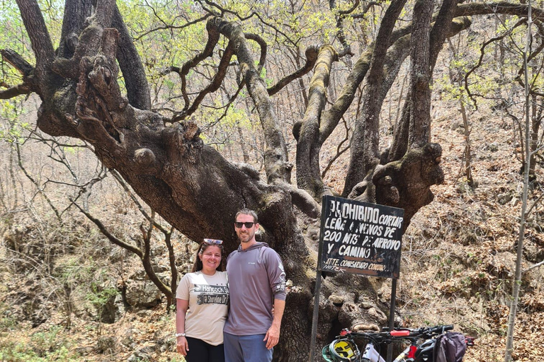 Oaxaca: Bike Tour with Visit to Monkey Tree & Bread Maker