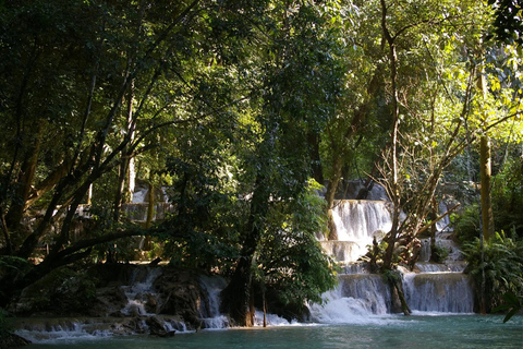Luang Prabang: E-Mountainbike Tour with Waterfall & Lunch