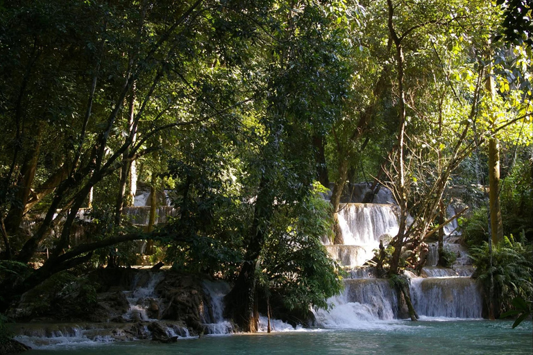 Luang Prabang: E-Mountainbike Tour with Waterfall & Lunch