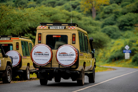 From Arusha: Lake Manyara National Park Day Trip
