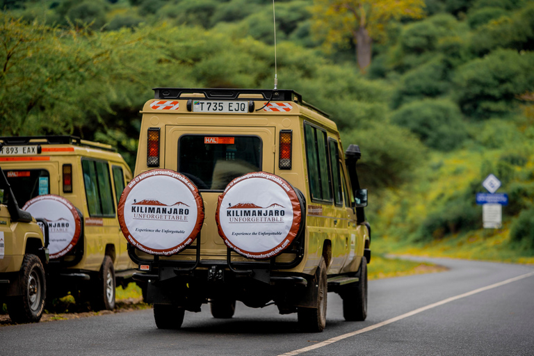 Au départ d'Arusha : excursion d'une journée au parc national du lac ManyaraDepuis Arusha : excursion d'une journée au parc national du lac Manyara