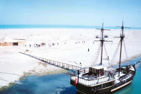 Djerba: Flamingo Island Cruise with Lunch & Dolphin Watching