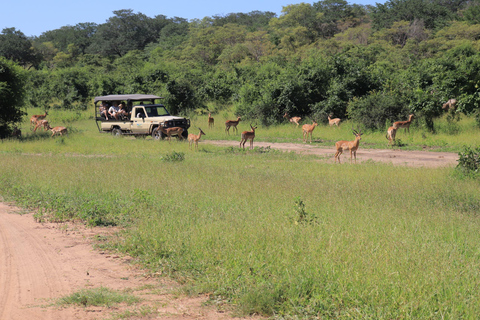 Kasane: Chobe National Park Game Drive and Boat Cruise