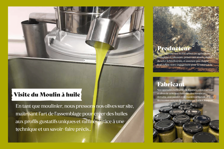 Saint Gilles: Tour of an olive oil mill in an organic olive grove Saint Gilles: Tour of an olive oil mill in an organic olive grove