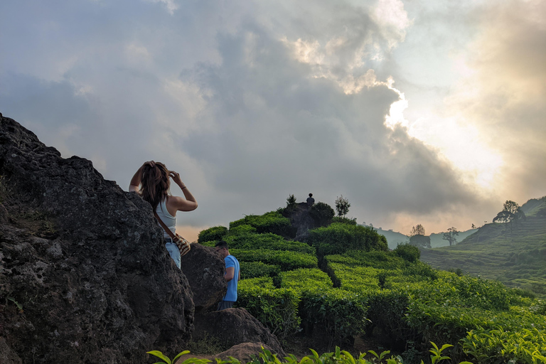 Bandung: White Crater, Scenic Tea Plantations & Hot Spring Open Tour: White Crater & Surroundings areas. with Tickets