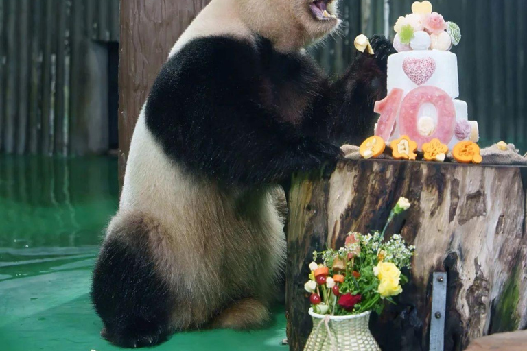 Shanghai Zoo Ticket with PDF Guide & Concierge
