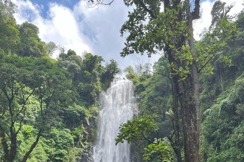 From Arusha: Materuni Waterfalls & Coffee Tour