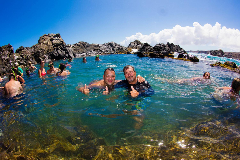 从奥拉涅斯塔德出发：岛屿吉普车一日游从奥拉涅斯塔德出发：全日岛屿吉普车野生动物园之旅