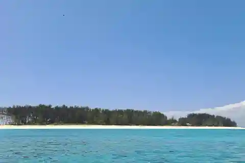 Excursión de día completo a la isla de Mnemba, acuario y puesta de sol (con comida)