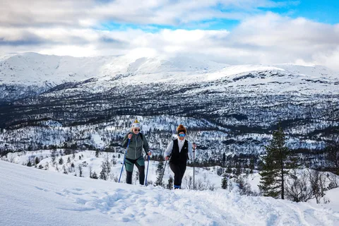 Bergen: Snowshoe Hike - Public Tour