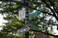Tour de New York Bronx, Queens y Brooklyn en italiano - Housity
