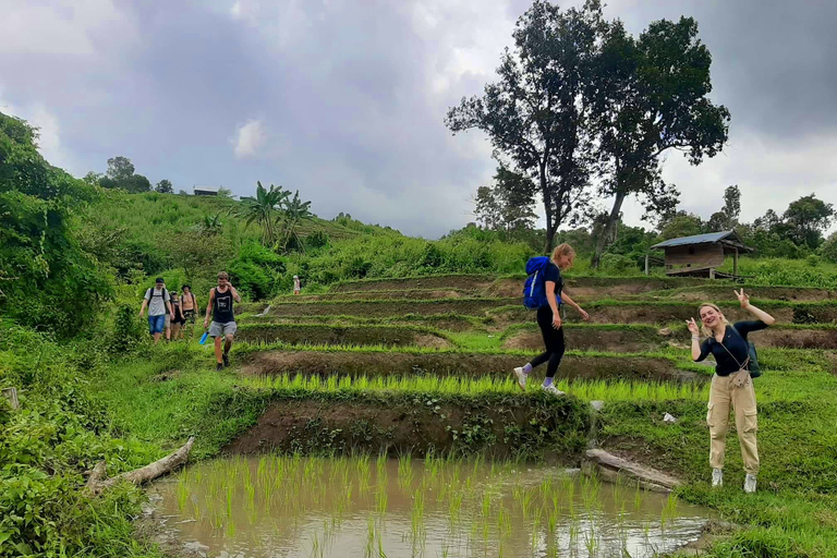 Chiang Mai : Tribu Karen et chutes d&#039;eau doubles - Randonnée privée d&#039;une journée