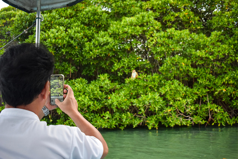 Negombo: Lagoon Boat Tour with hotel transfers & fruit snak