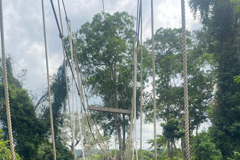Kakum National Park & Elimina & Cape Coast Castle Day Tour