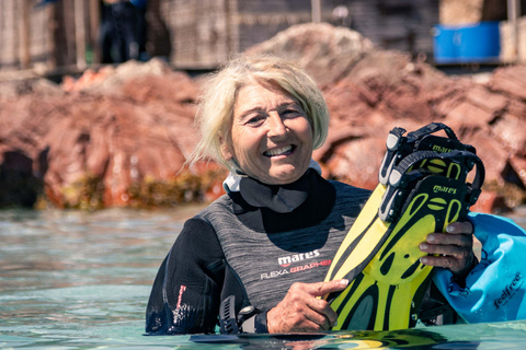 Porto-Vecchio: beginner diving in the Cerbicale Islands in the reserve