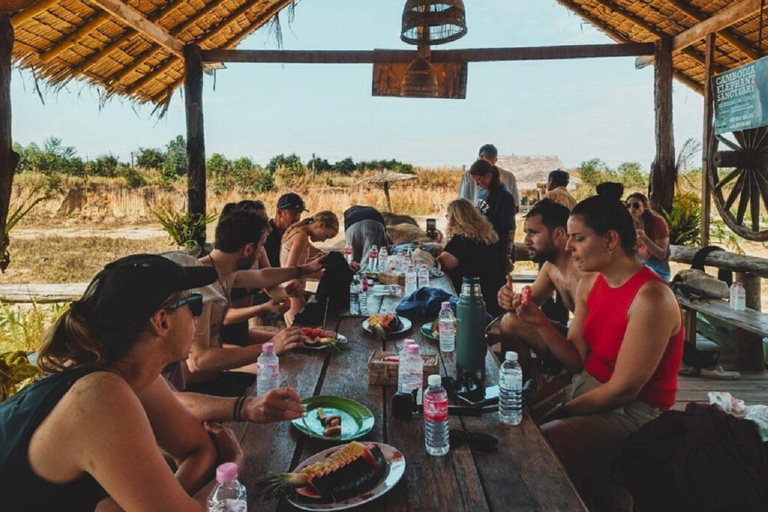 Rundtur i Kambodjas elefantreservat och Banteay Srey-templet