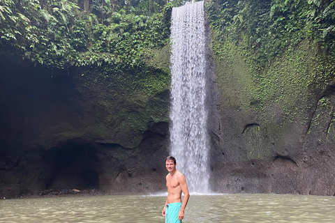 Monkey River, Ubud Market, Waterfall and Art Village Ubud Tour include Ticket