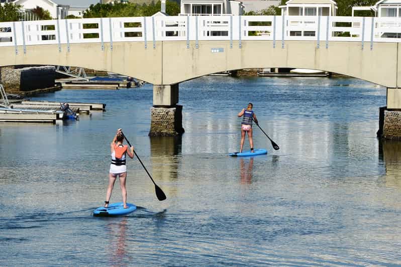 Knysna Stand Up Paddle Board Noleggio GetYourGuide