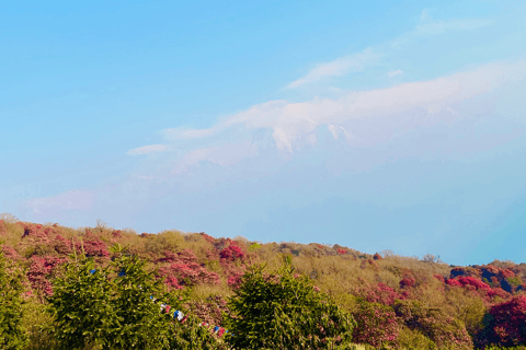 Trekking a Ghorepani Poon Hill con guíaTrekking por Ghorepani y Poon Hill