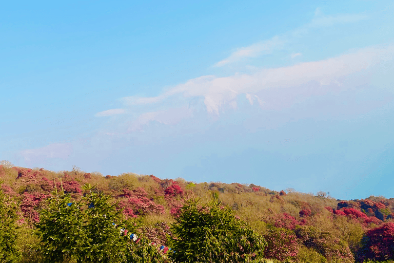 导游陪同戈雷帕尼普恩山徒步之旅戈雷帕尼-普恩山徒步之旅