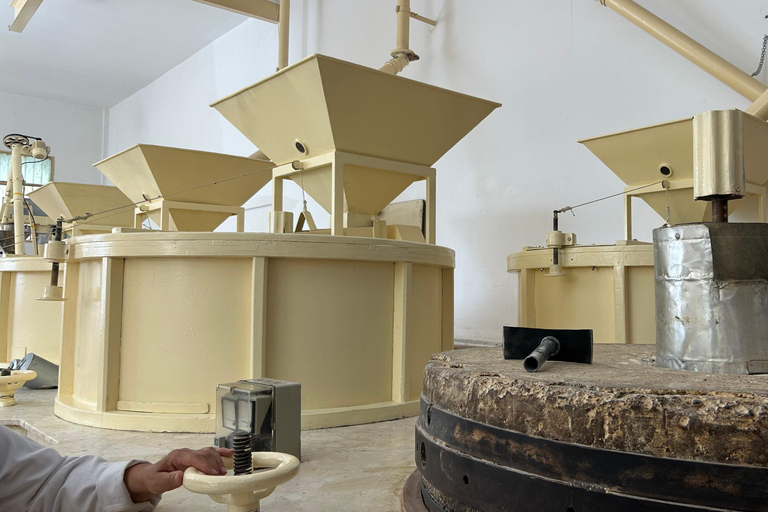 Gran Canaria: Agüimes, Gofio Mill &amp; Eco Farm Food Tasting