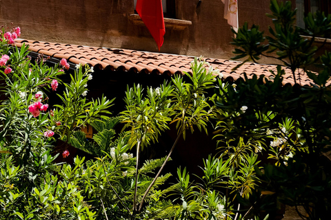 Kusadasi: Ephesus and House of Mary Shore Excursion