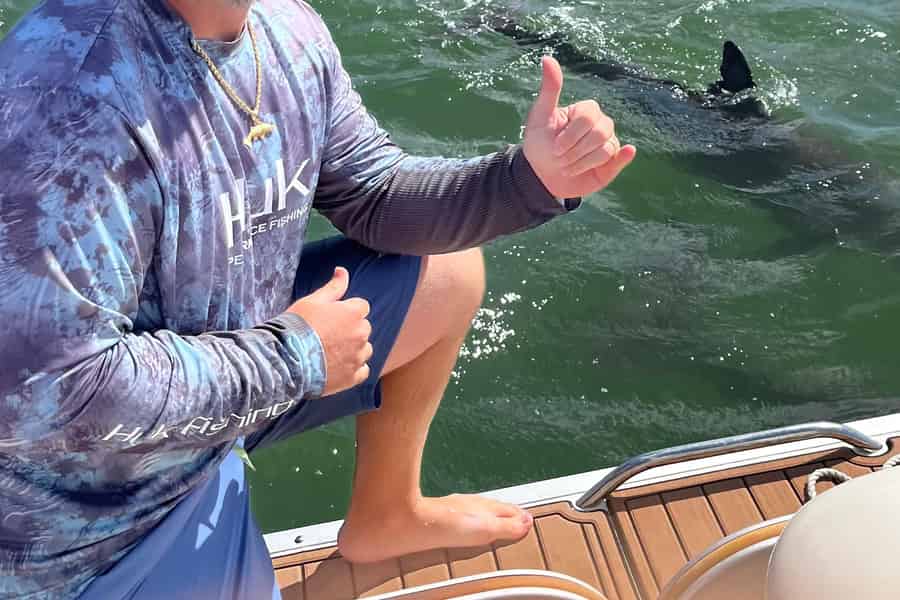 Madeira Beach: 1,5-stündige Delfin-Exkursion. Foto: GetYourGuide Madeira Beach: 1,5-stündige Delfin-Exkursion. Foto: GetYourGuide