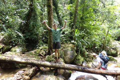 Medellin: półdniowa prywatna wycieczka przyrodnicza i wędrówka po wodospadzie