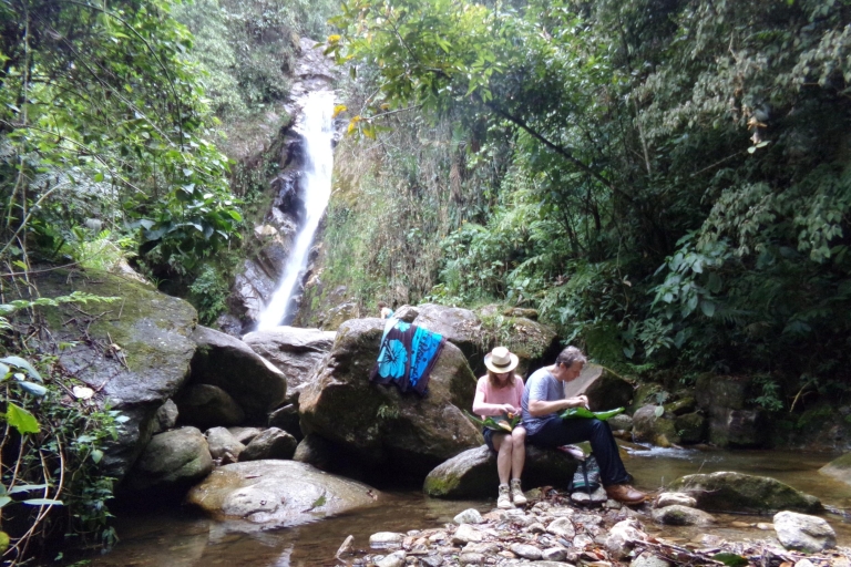 Medellin : Excursion privée d'une demi-journée dans la nature et randonnée dans les chutes d'eau