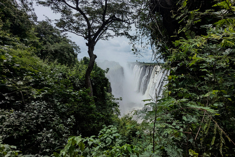 Livingstone: Victoria Falls Evening Guided Tour