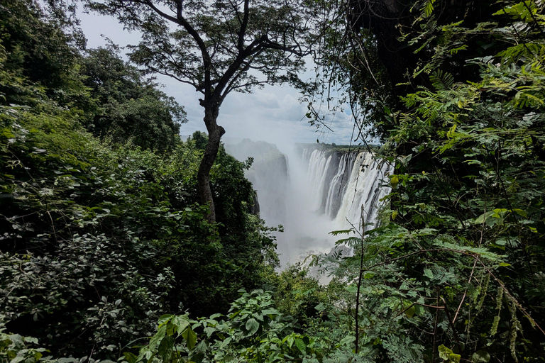 Livingstone: Victoria Falls Evening Guided Tour